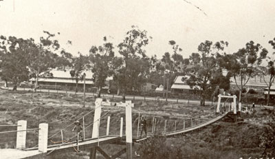 Bagot Shakes & Lewis Sale Yards Burra